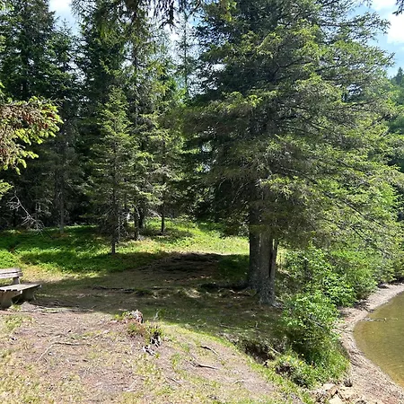 Vakantiehuis Mountainview Flattnitz